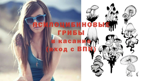 ALPHA-PVP Гусев