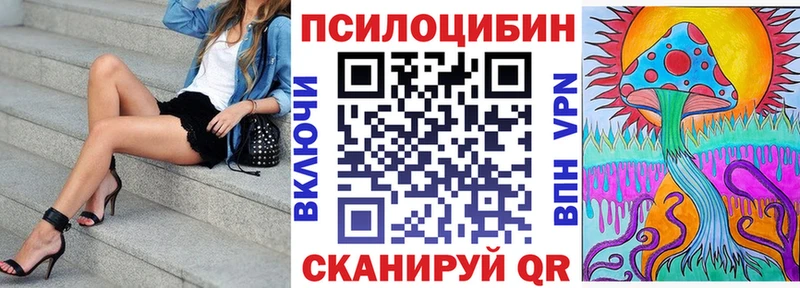 продажа наркотиков  Кызыл  omg tor  Псилоцибиновые грибы мухоморы 